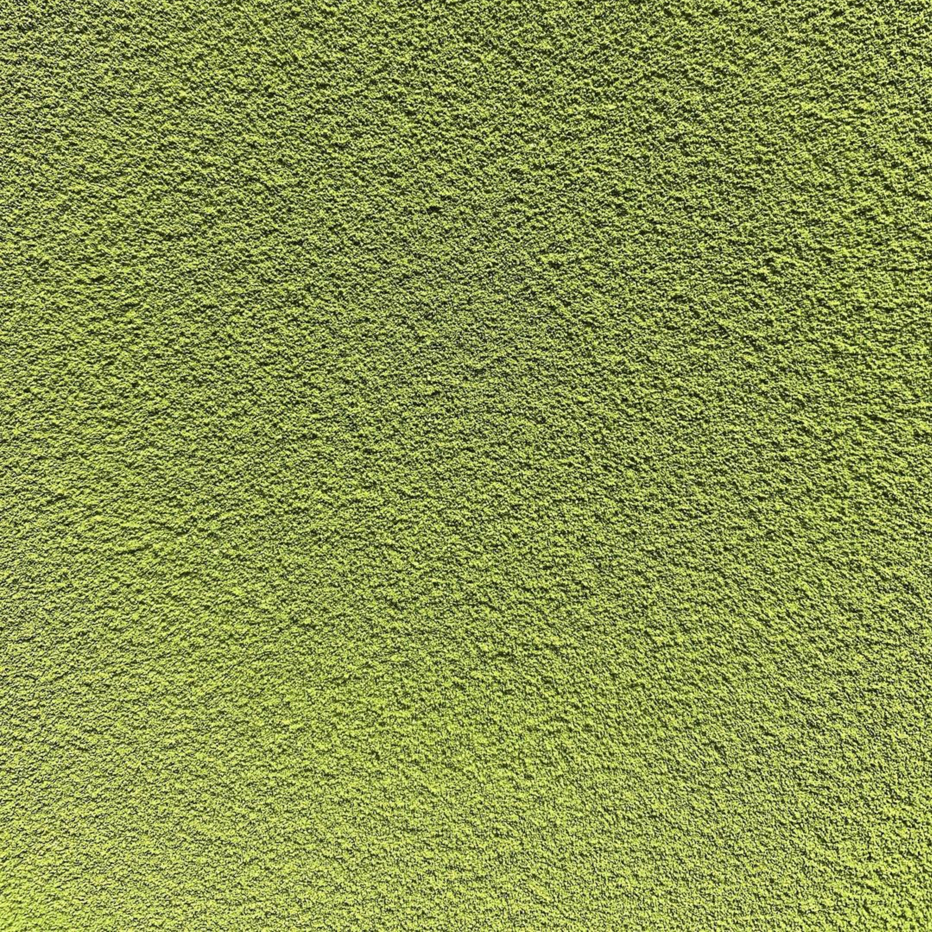 (2025 Not Available) #0515.K6 Nakai Tea Farm: Naturally Grown Uji Matcha Seisho (Samidori) Standard Ceremonial Grade 30g, Wazuka, Kyoto - Image 2