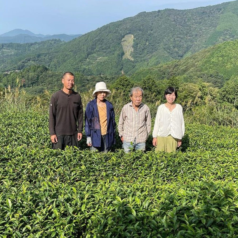 PREORDER available early May 🍵 2026 #0041.S5 NaturaliTea: Hatsutsumi Midori Hashiri Shincha First Flush Asamushicha 有機浅蒸し煎茶: 初摘みみどり - Image 6