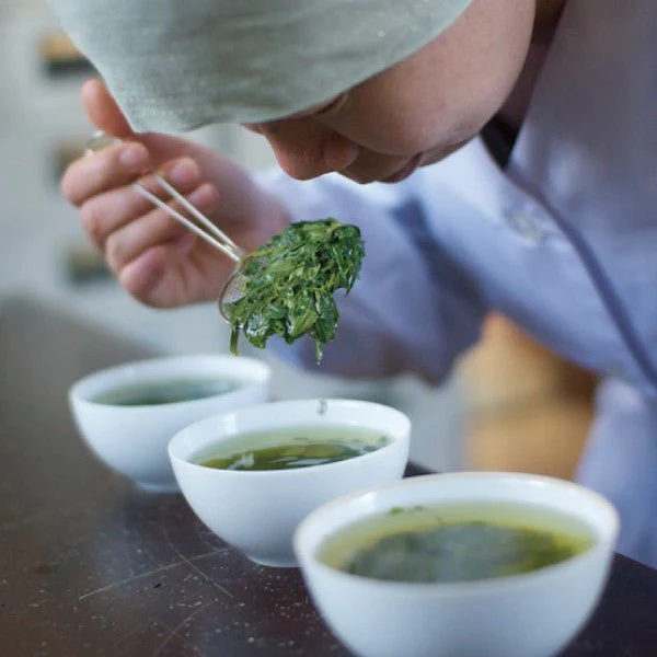 PREORDER available early May 🍵 2026 #0042.S5 NaturaliTea: Hachijyuhachiya Sencha Green Tea, Spring Midori First Flush 有機八十八夜摘み  春の香みどり - Image 3