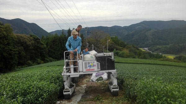 #0047.S5 NaturaliTea: Superior Hojicha Roasted Green Tea (Spring Harvest) 上ほうじ茶 - Image 6