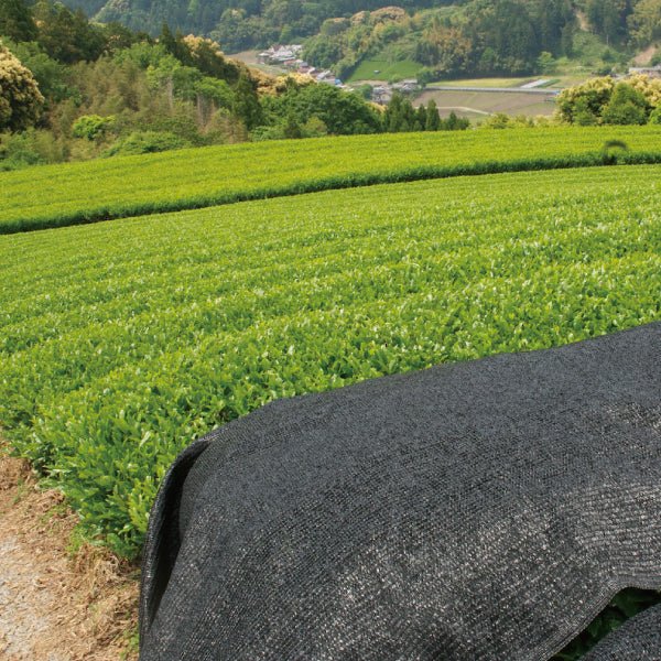 PREORDER available late May 🍵 2026 #0054.S5 NaturaliTea: Organic Premium Kabuse Sencha 有機一番摘み煎茶: 冠(かぶせ)茶 - Image 5