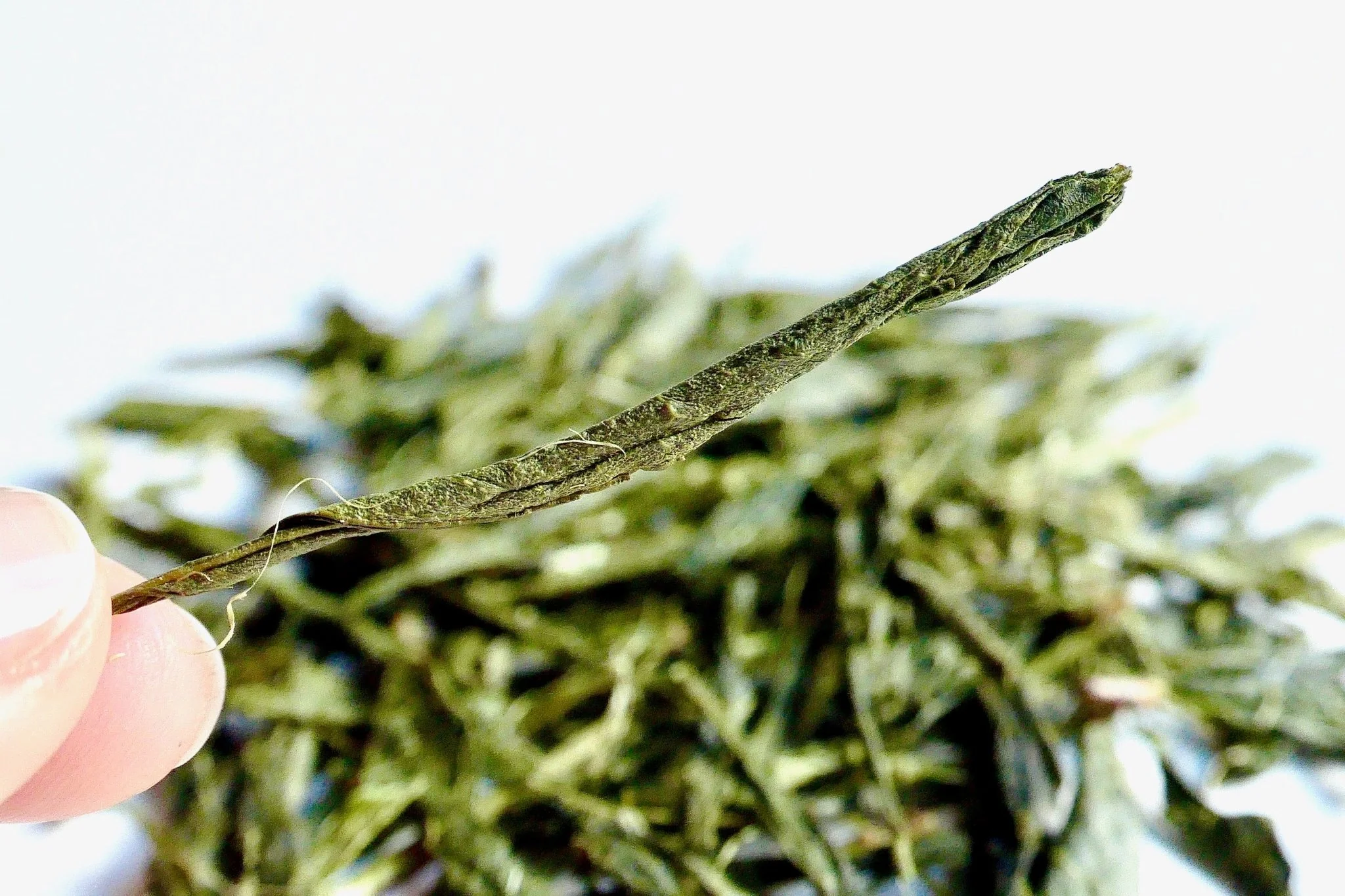 #0006.K6 Obubu Tea: Yanagi Bancha, Green Tea - Image 2