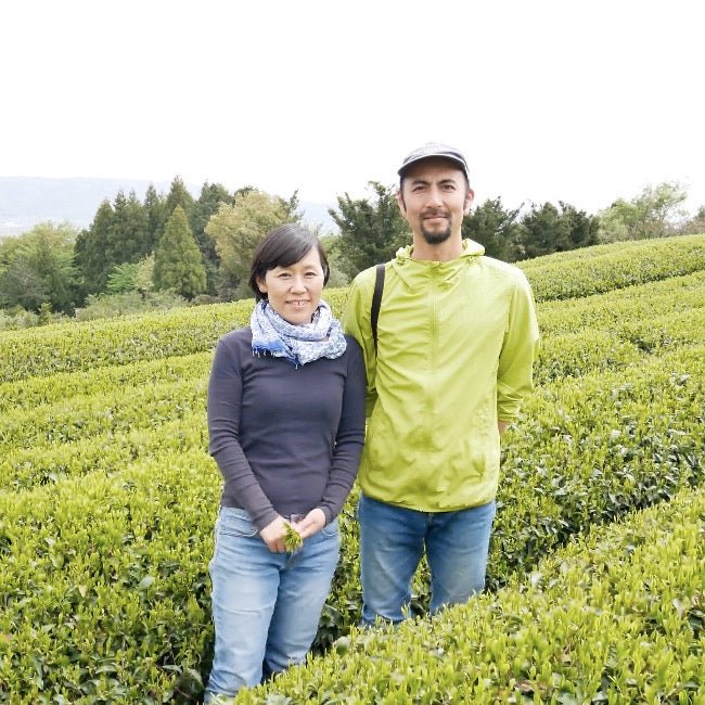 #0537.K3 Ogura Tea Garden: Yabukita Wakocha First Flush Roasted Black Tea from Ashigara, Kanagawa 足柄産の焙じ紅茶 - Image 3