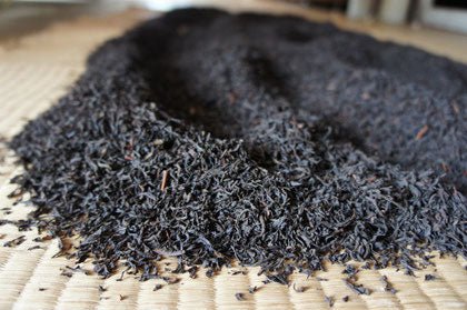 #0537.K3 Ogura Tea Garden: Yabukita Wakocha First Flush Roasted Black Tea from Ashigara, Kanagawa 足柄産の焙じ紅茶 - Image 4