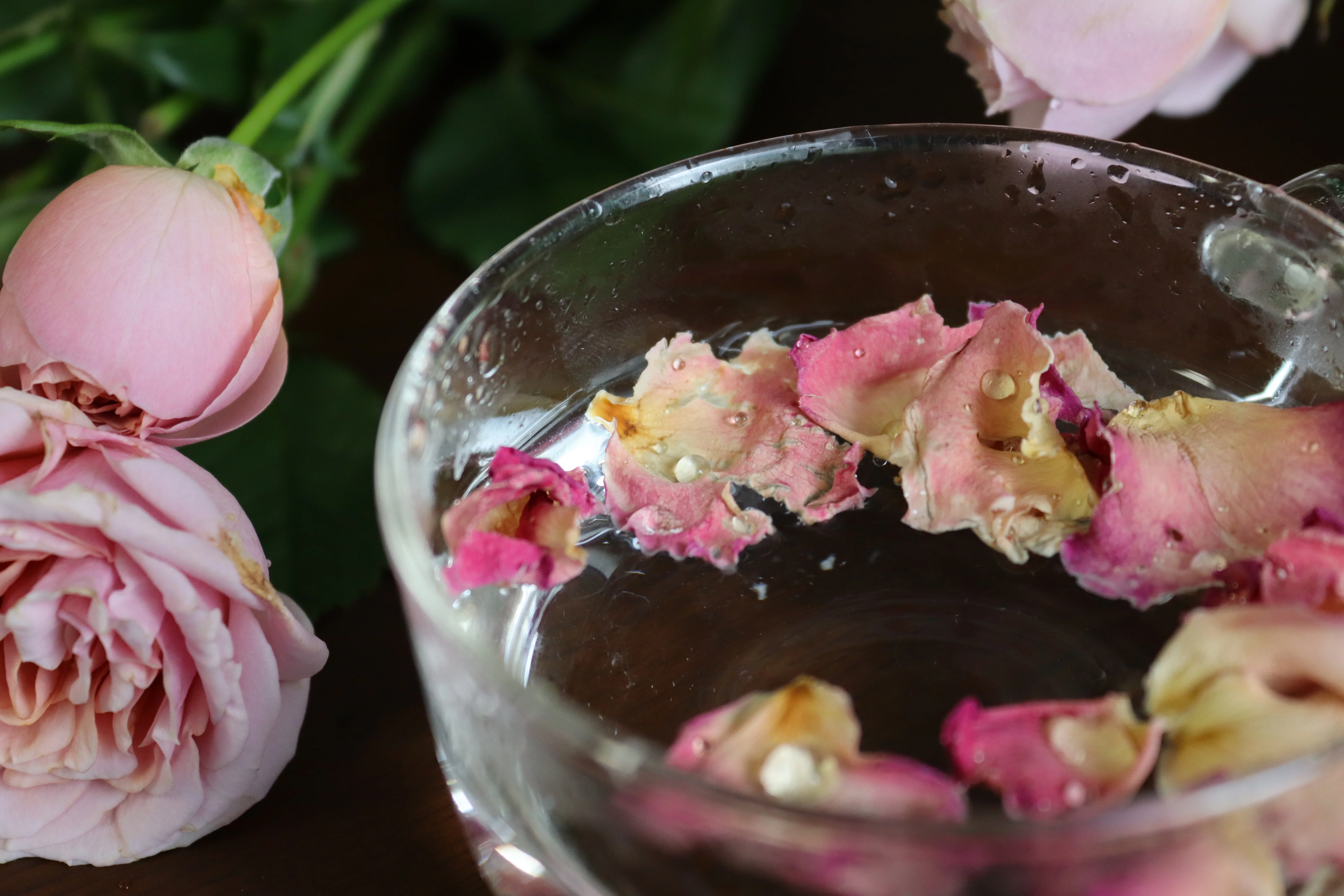 #0554.S4 Okuizumo Rose Garden: Rose Petal Herbal Tea (Apple Rose Cultivar) - Image 2