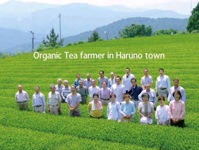 #0569.S5 Osada Tea: Organic Yamabuki Nadeshiko, Kurokoji Fermented Tea 有機山吹撫子 - Image 5