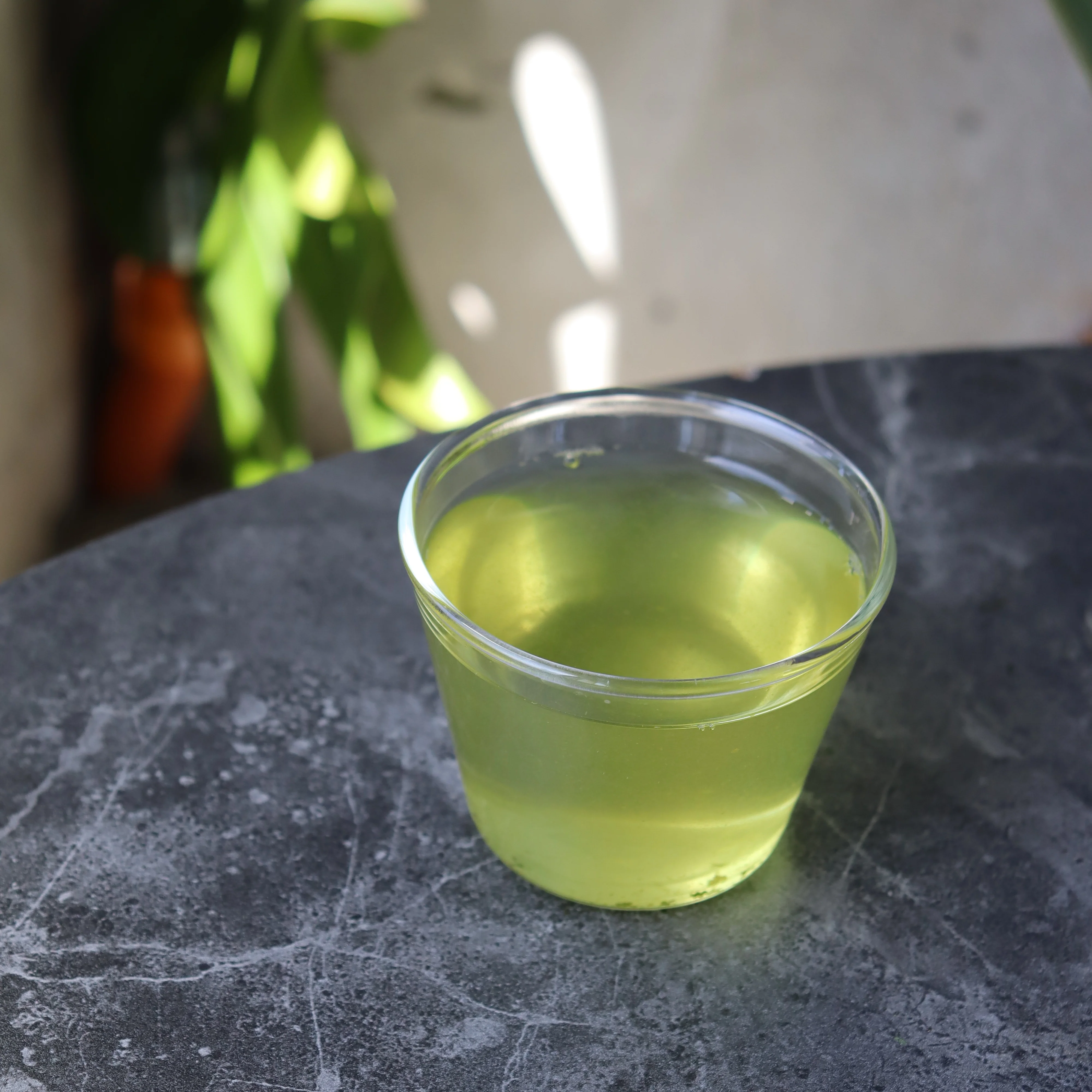 #0572.S5 Osada Tea: Shincha Spring Sencha Green Tea - Irokamai, Ohashiri 色香舞 (大走り) - Image 3