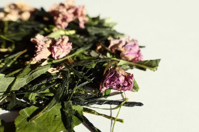 #0040.K6 Sakura Sencha (Obubu Tea) 桜煎茶 - Image 4