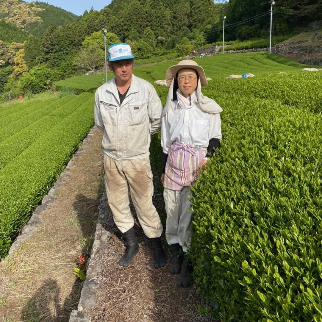 PREORDER available May 🍵 2026 #0167.S5 Kiyosawa Tea Gardens: Shizuoka Spring Asamushi Sencha Blend by Farmer Sugiyama Yachiyo - Image 12