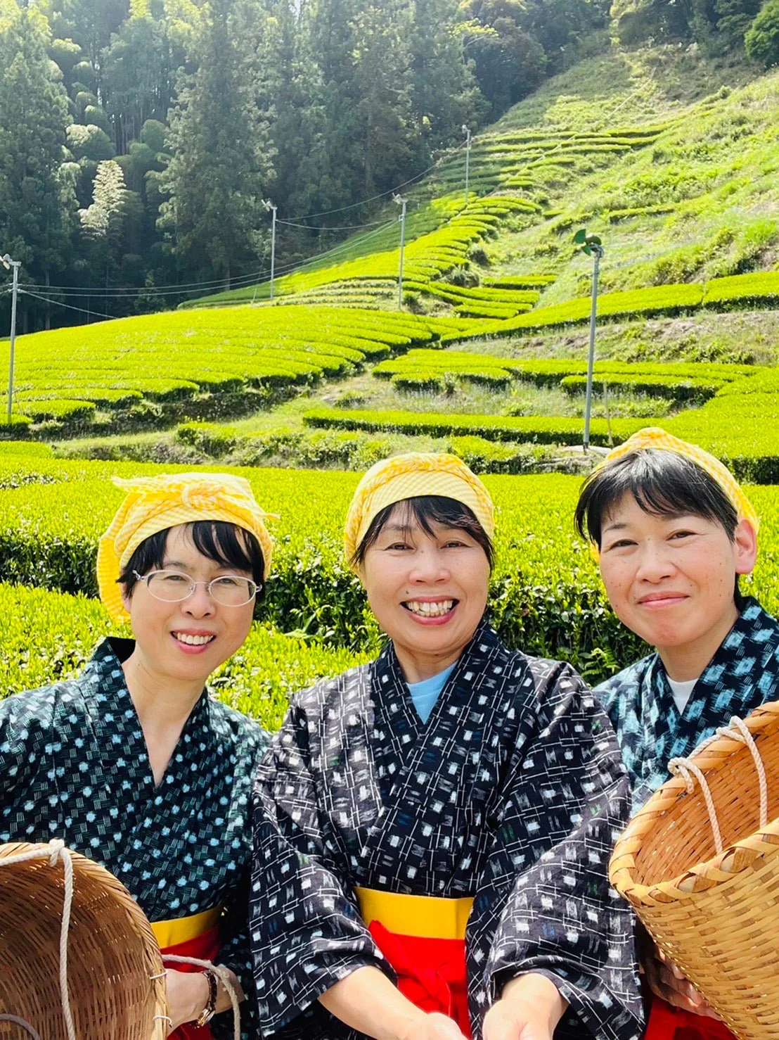 PREORDER available May 🍵 2026 #0168.S5 Kiyosawa Tea Gardens: Shizuoka Spring Asamushi Sencha by Konagai Chizuko - Image 9