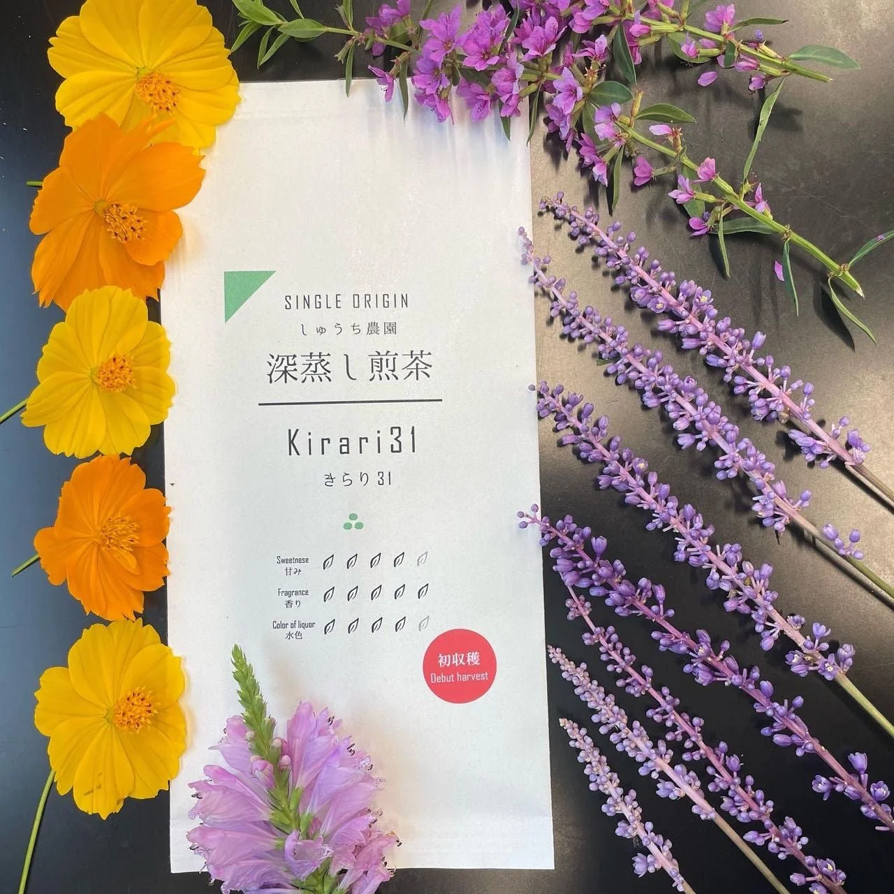#0640.S5 Shuchi Tea Garden: Fukamushicha Green Tea, Kirari 31 Single Cultivar, Nihoncha Awards Platinum Medal Winner, Refined by Osada Tea きらり31深蒸し茶 - Image 3