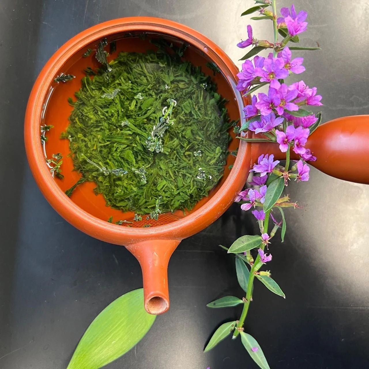 #0640.S5 Shuchi Tea Garden: Fukamushicha Green Tea, Kirari 31 Single Cultivar, Nihoncha Awards Platinum Medal Winner, Refined by Osada Tea きらり31深蒸し茶 - Image 7