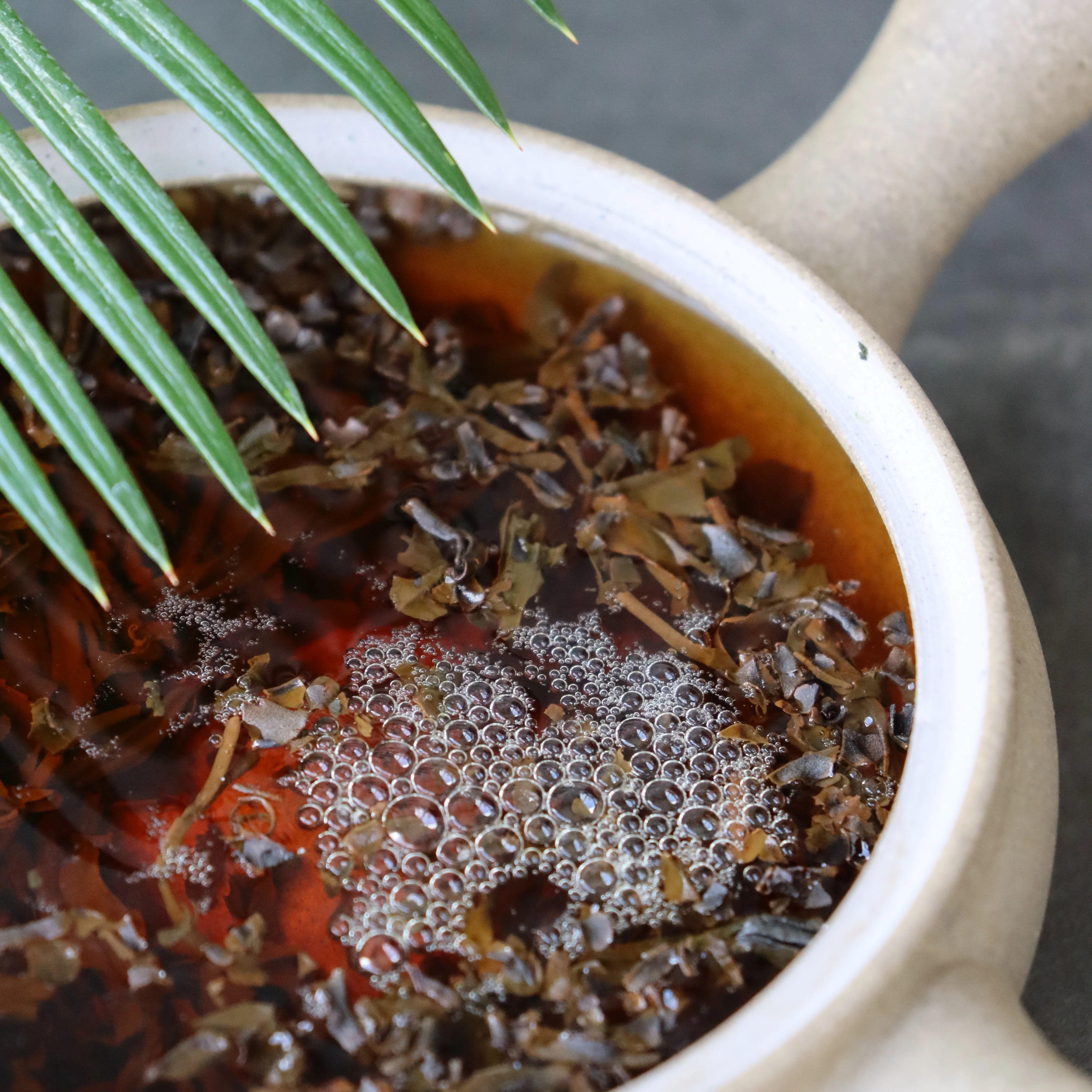 Studio Lesson - Tea Professional or Connoisseur Level - Personalized Deep Dive Into Japanese Tea - Image 10