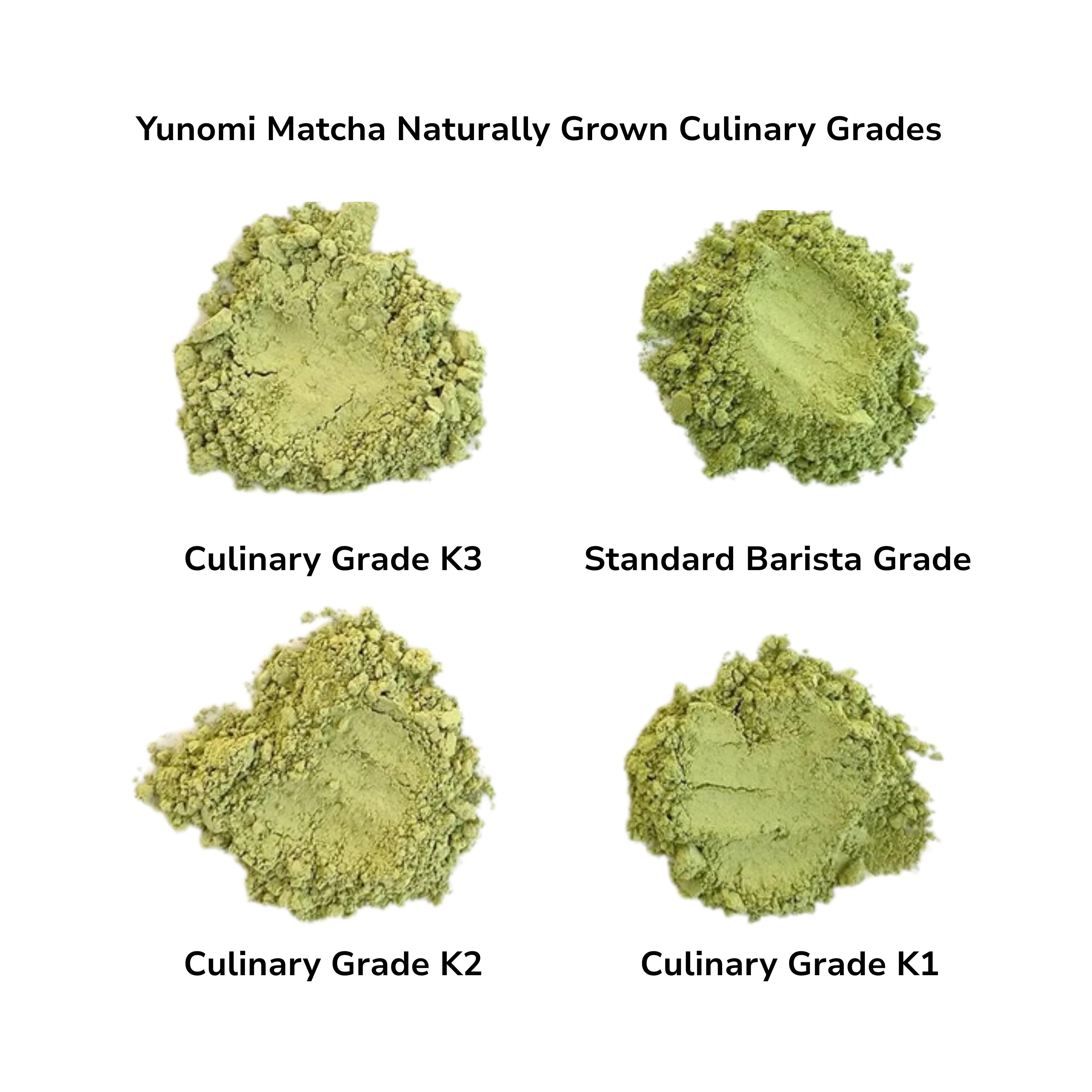 Studio Lesson - Tea Professional or Connoisseur Level - Personalized Deep Dive Into Japanese Tea - Image 2