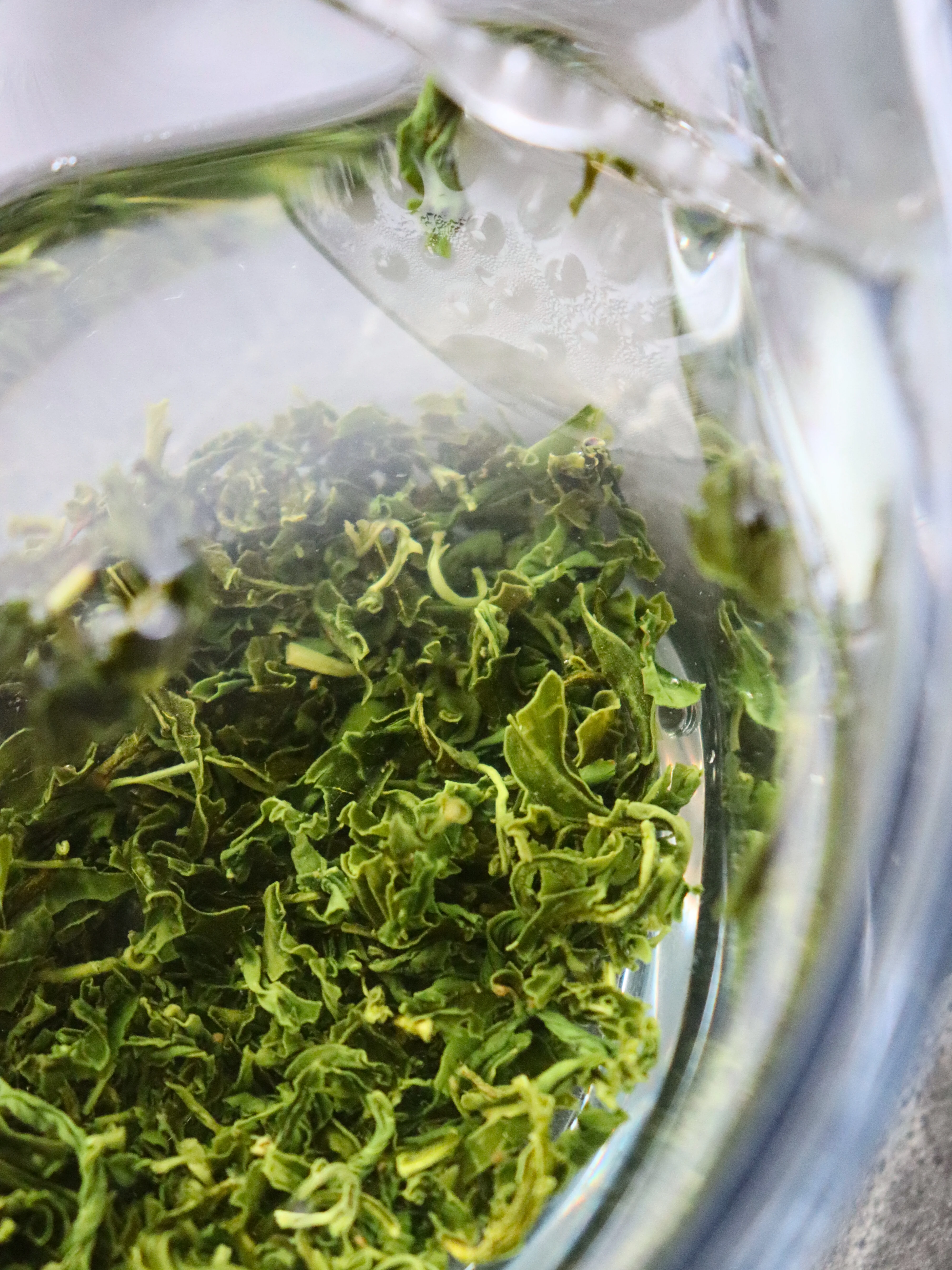 Studio Lesson - Tea Professional or Connoisseur Level - Personalized Deep Dive Into Japanese Tea - Image 6