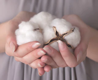 Biodegradable Cotton (Bemliese™) Fillable Tea Bags by Subaru - Image 3
