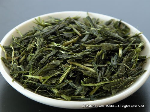 PREORDER available JUNE 2026 #0648.M1 Takeo Tea Farm: Organic Bancha Green Tea, Satsuki no Aoyanagi, May harvest 五月の青柳 - Image 2