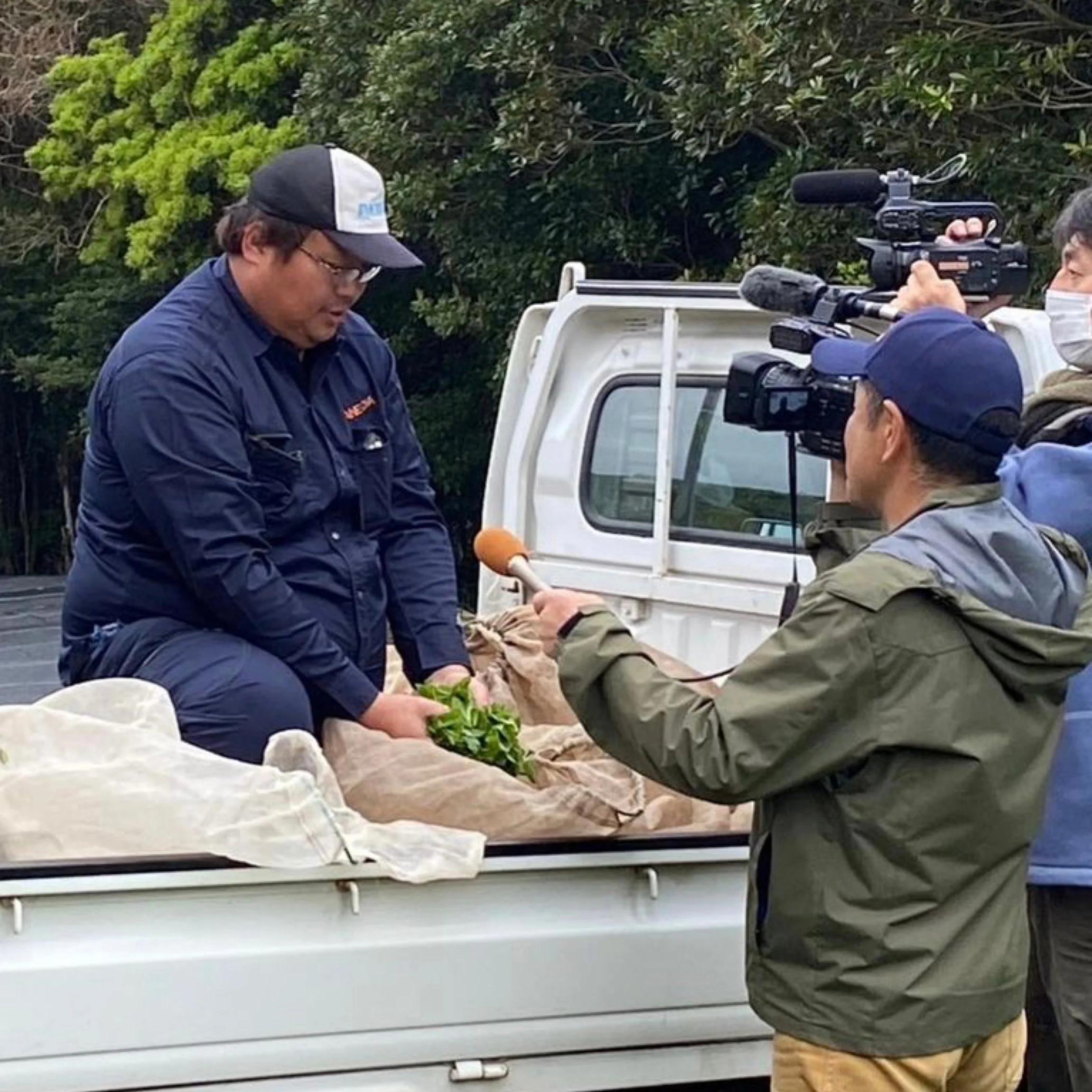 PREORDER available late April 🍵 2026 #0346.K2 Tanegashima Island Meiryoku (micro batch, limited) Single Cultivar Sencha by Iba Takahiro Tea Garden - Image 7