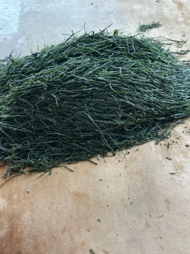 2026 [Limited quantity] #0559.S2 2026 Limited Edition Temomicha Shincha (Kirari 31 Single Cultivar) - Handrolled Tea by Award-Winning, 15th Generation Master, Okutomi Masahiro - Image 3