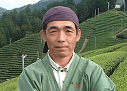 (while stock last) #0701.K6  Uejima Tea Farm: Single Cultivar Samidori Sencha (Superior) from Wazuka, Kyoto - Image 5