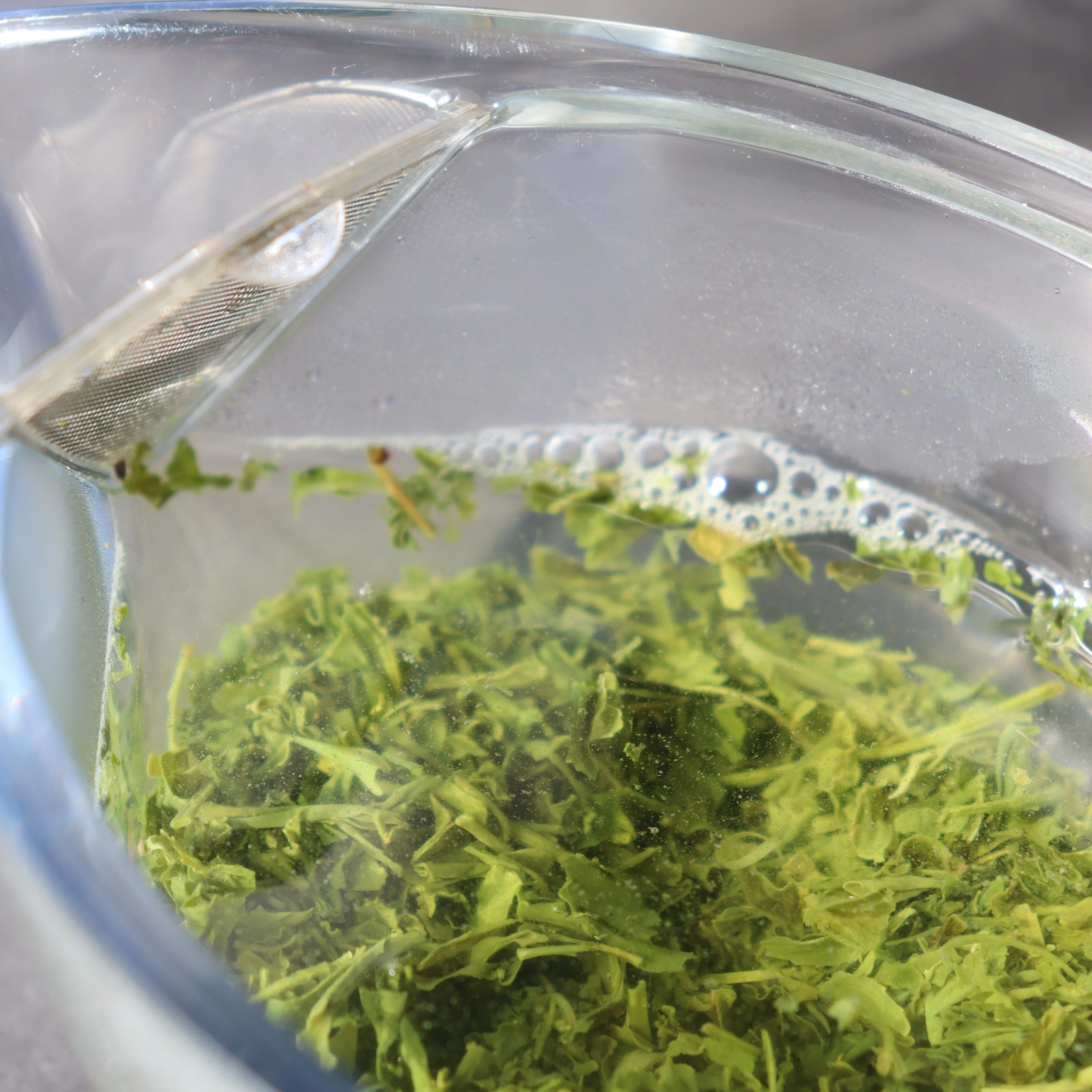 (while stock last) #0701.K6  Uejima Tea Farm: Single Cultivar Samidori Sencha (Superior) from Wazuka, Kyoto - Image 4