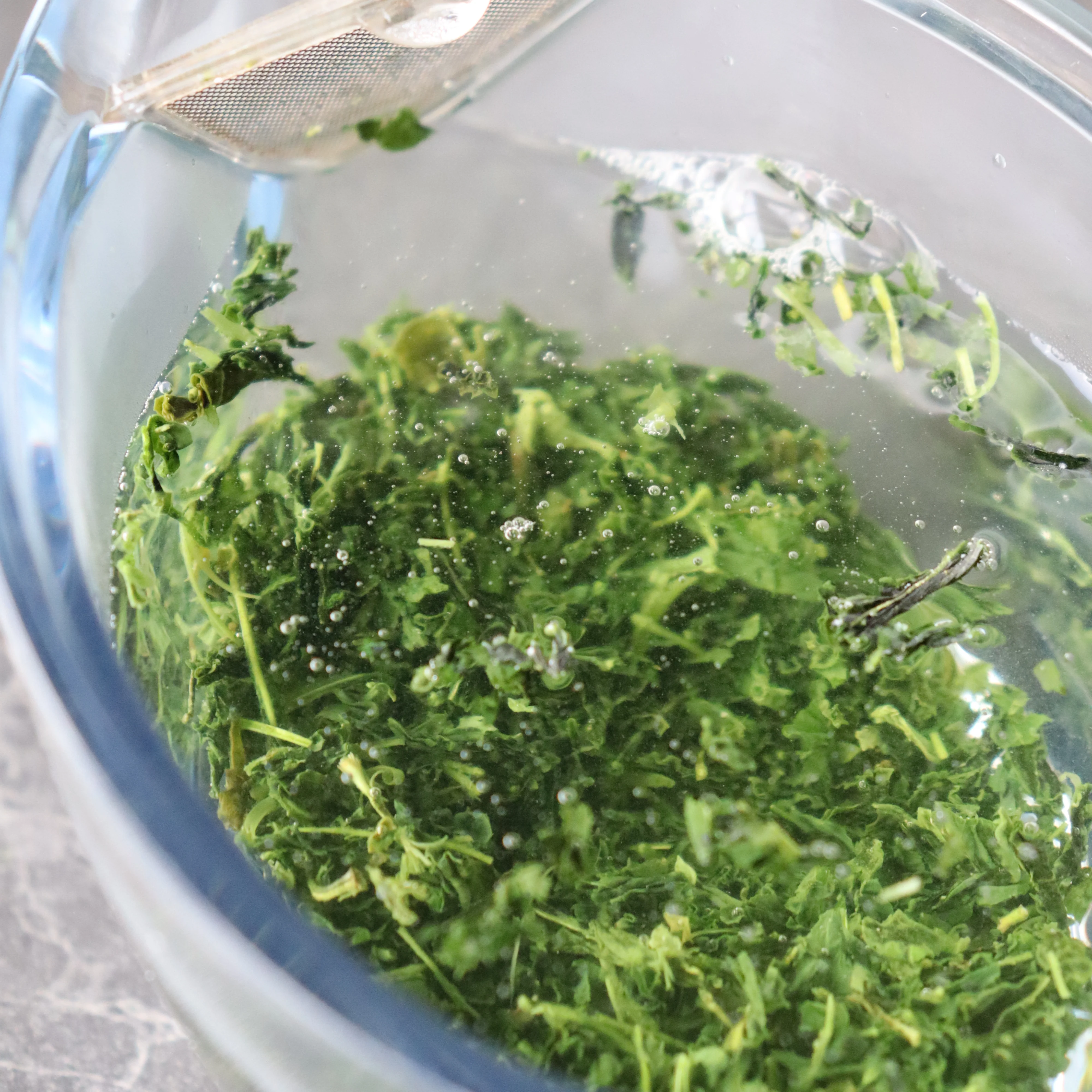 PREORDER available in late May 2026  #0700.K6 Uejima Tea Farm: Single Cultivar Yabukita Sencha from Wazuka, Kyoto - Image 4