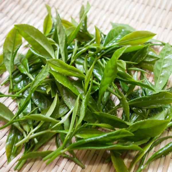 PREORDER available May 🍵 2026 #0708.K2 Wakoen Tea Farm: Kagoshima Fukamushicha - Miyabi (Imperial Grade) 和香園  深蒸し茶  雅 - Image 6