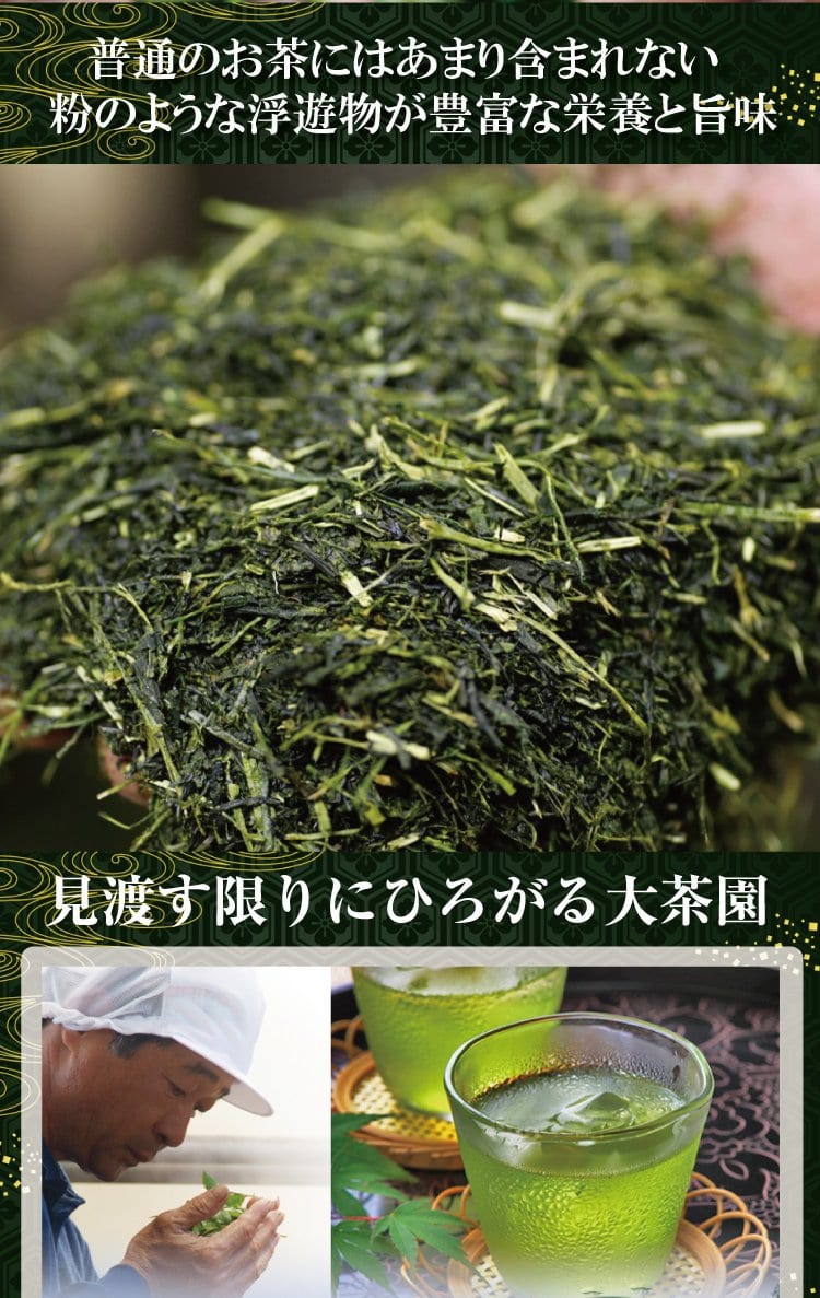 PREORDER available May 🍵 2026 #0709.K2 Wakoen Tea Farm: Kagoshima Fukamushicha - Takumi (Premium Grade) 和香園 深蒸し茶 匠 - Image 4