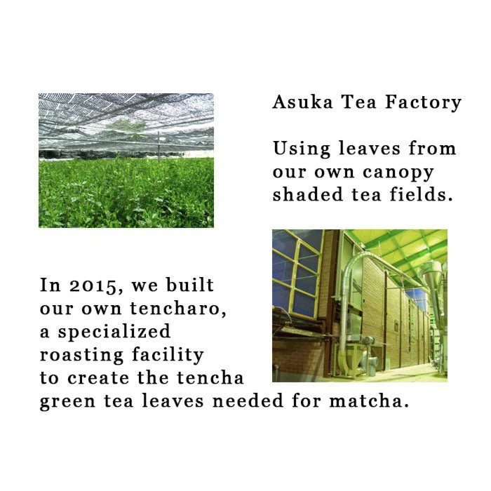 #0230.S2 Asuka Tea Factory: Sayama Matcha, Myoushou Green 狭山抹茶明松 - Image 3